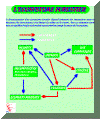 ecoforestier.gif (309228 octets)